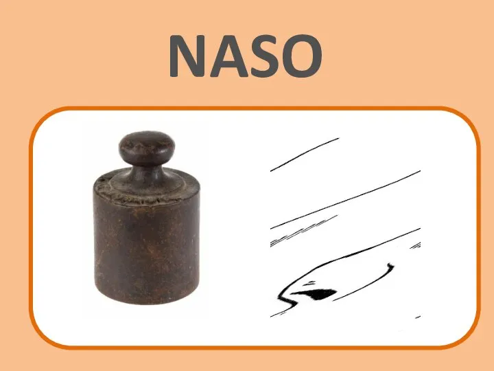 NASO