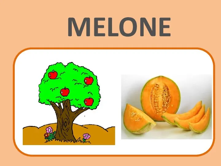 LUNA MELONE