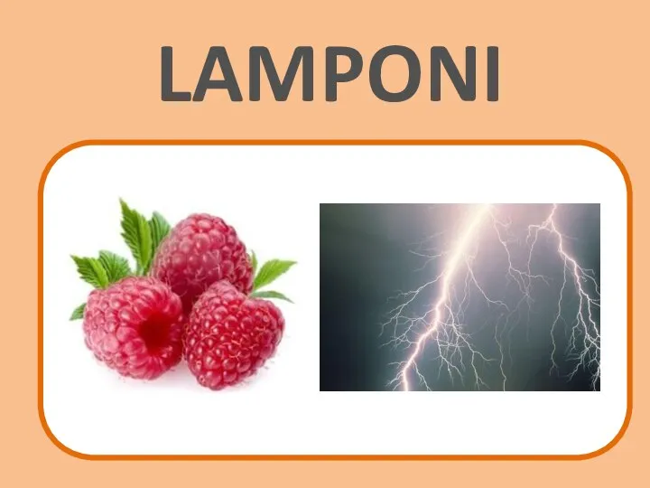 LAMPONI