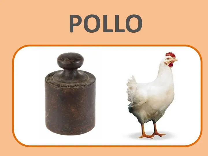 POLLO