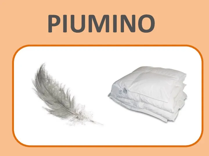 PIUMINO