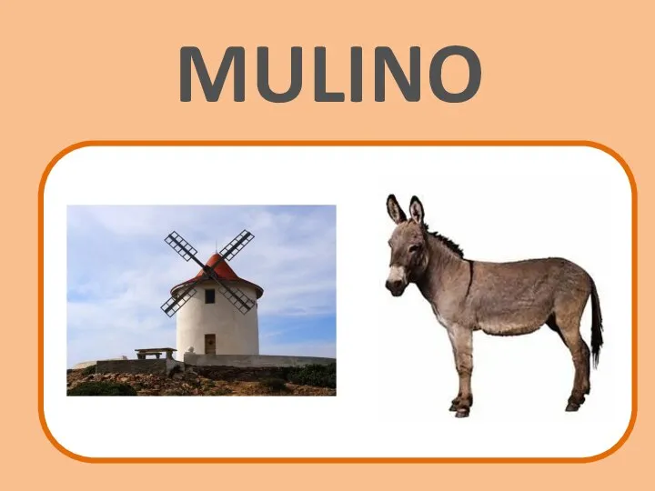 MULINO