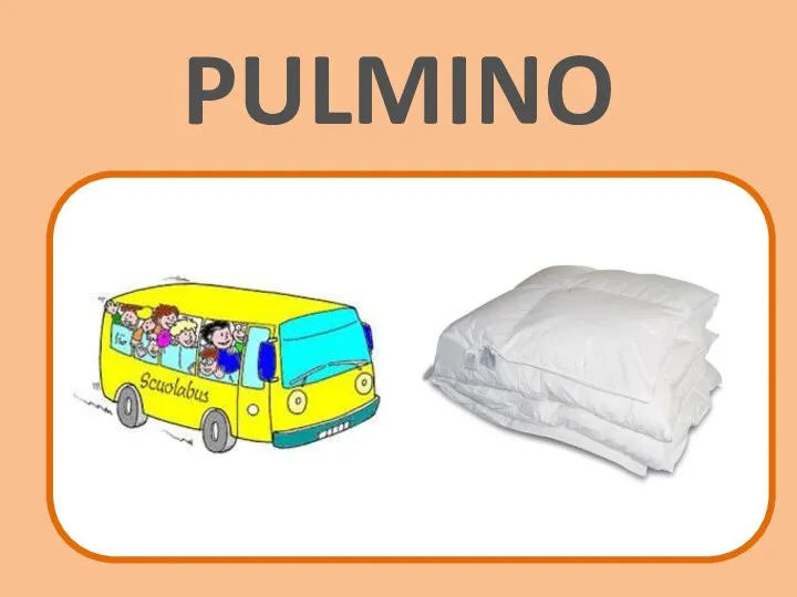 PULMINO