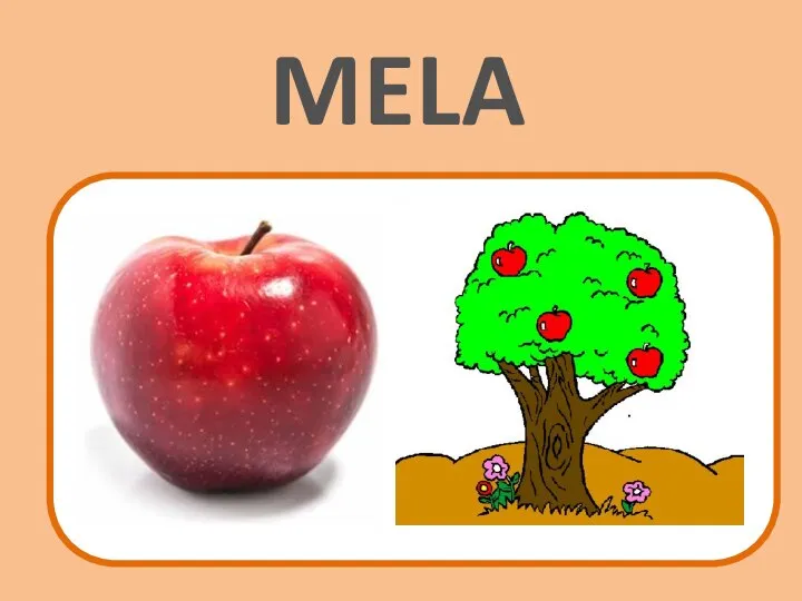 MELA