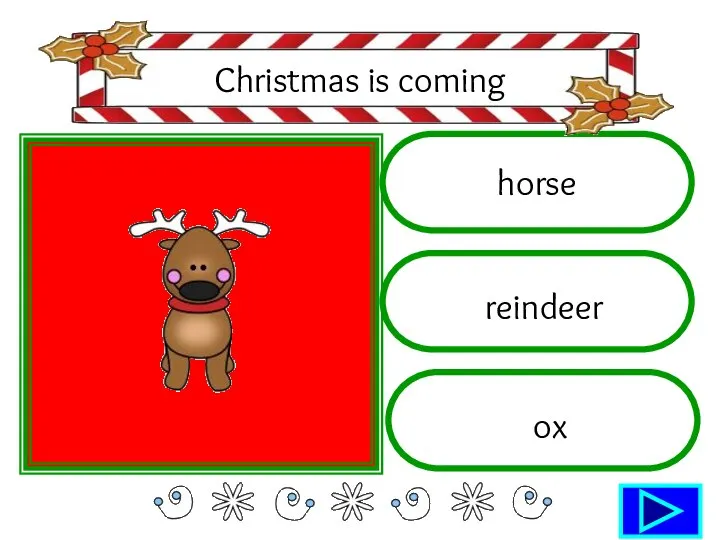 horse reindeer ox Christmas is coming