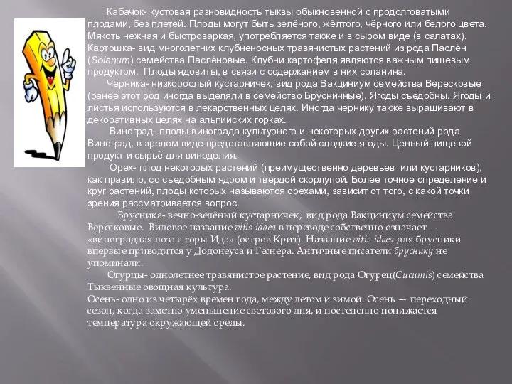 Кабачок- кустовая разновидность тыквы обыкновенной с продолговатыми плодами, без плетей. Плоды могут