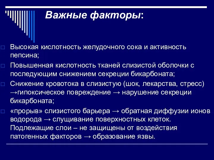 Важные факторы: Высокая кислотность желудочного сока и активность пепсина; Повышенная кислотность тканей