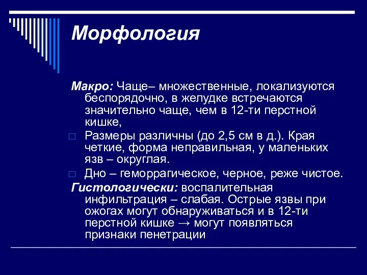 Морфология Макро: Чаще– множественные, локализуются беспорядочно, в желудке встречаются значительно чаще, чем