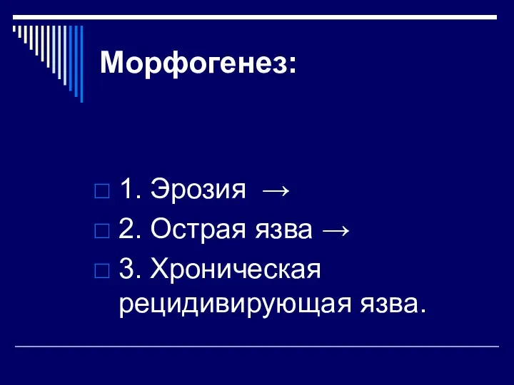 Морфогенез: 1. Эрозия → 2. Острая язва → 3. Хроническая рецидивирующая язва.