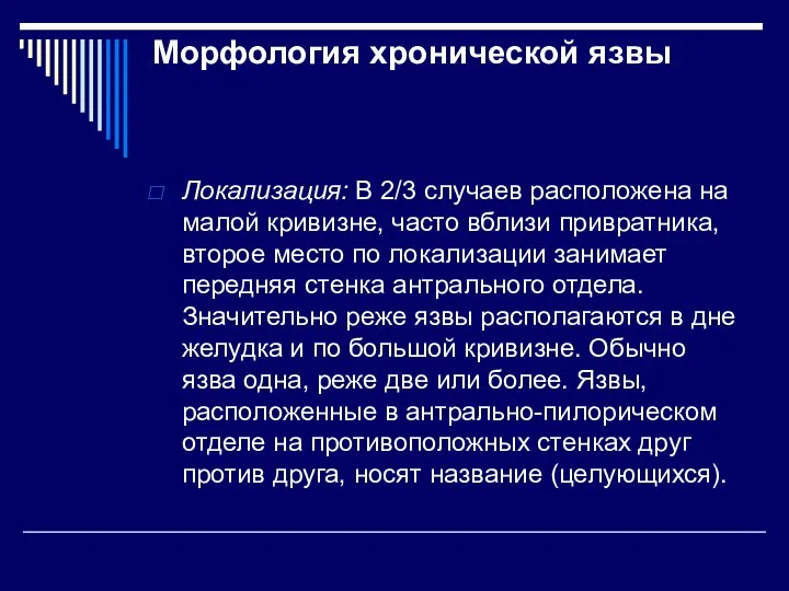 Морфология хронической язвы Локализация: В 2/3 случаев расположена на малой кривизне, часто