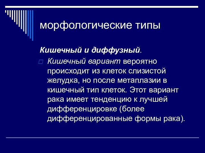 морфологические типы Кишечный и диффузный. Кишечный вариант вероятно происходит из клеток слизистой