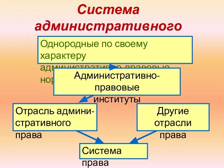 Система административного права Однородные по своему характеру административно-правовые нормы Административно-правовые институты Отрасль