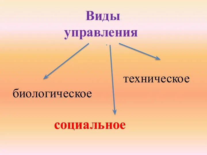 Виды управления техническое биологическое социальное