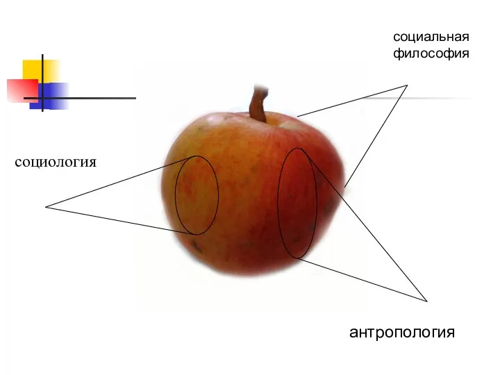 социология антропология социальная философия