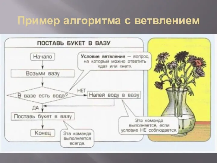 Пример алгоритма с ветвлением