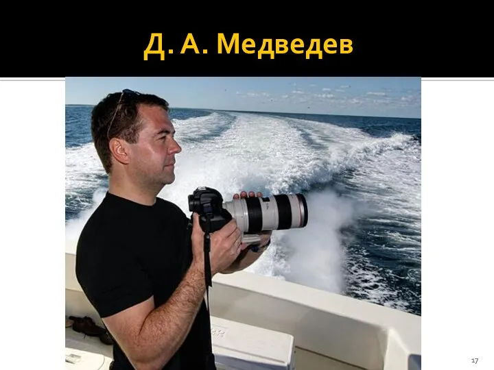 Д. А. Медведев