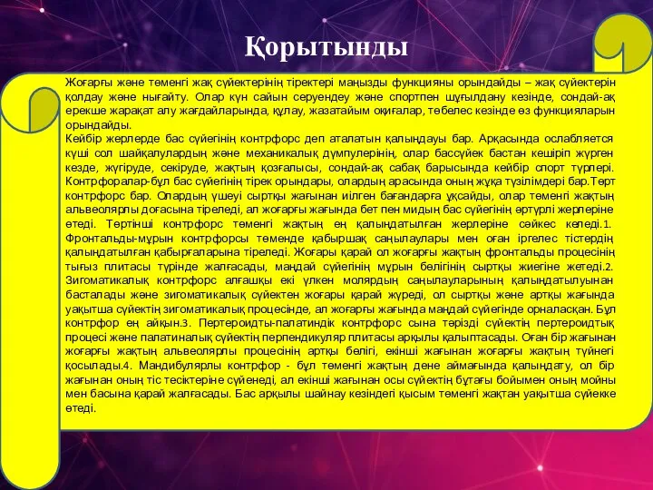 Қорытынды Жоғарғы және төменгі жақ сүйектерінің тіректері маңызды функцияны орындайды – жақ