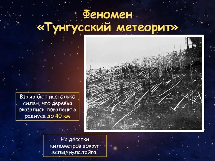 Феномен «Тунгусский метеорит» Взрыв был настолько силен, что деревья оказались повалены в
