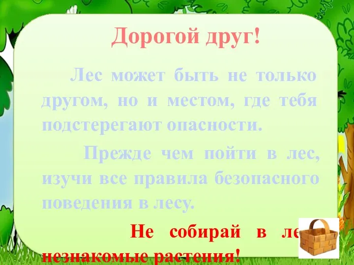 Дорогой друг! Лес может быть не только другом, но и местом, где