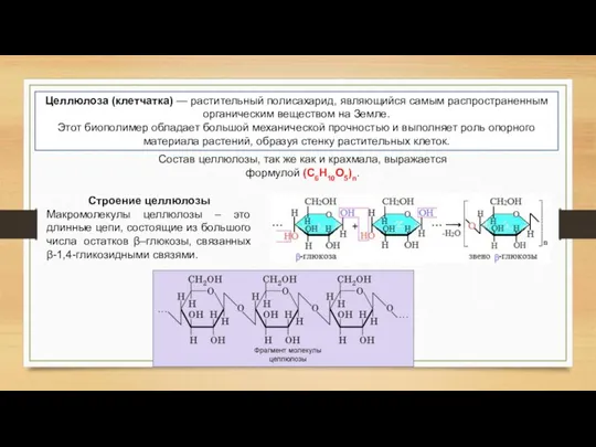 Целлюлоза (клетчатка) — растительный полисахарид, являющийся самым распространенным органическим веществом на Земле.