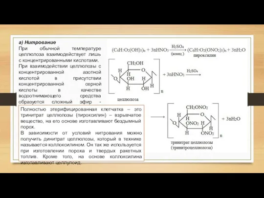 а) Нитрование При обычной температуре целлюлоза взаимодействует лишь с концентрированными кислотами. При