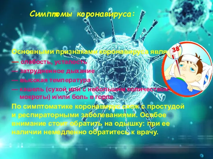 Коронавирус – это целое семейство вирусов, которое включает более 30 видов. Виды