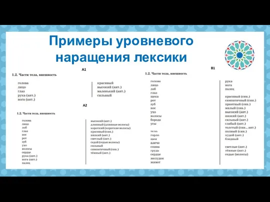 Примеры уровневого наращения лексики