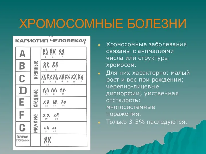 ХРОМОСОМНЫЕ БОЛЕЗНИ Хромосомные заболевания связаны с аномалиями числа или структуры хромосом. Для