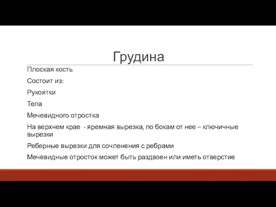 Грудина Плоская кость Состоит из: Рукоятки Тела Мечевидного отростка На верхнем крае