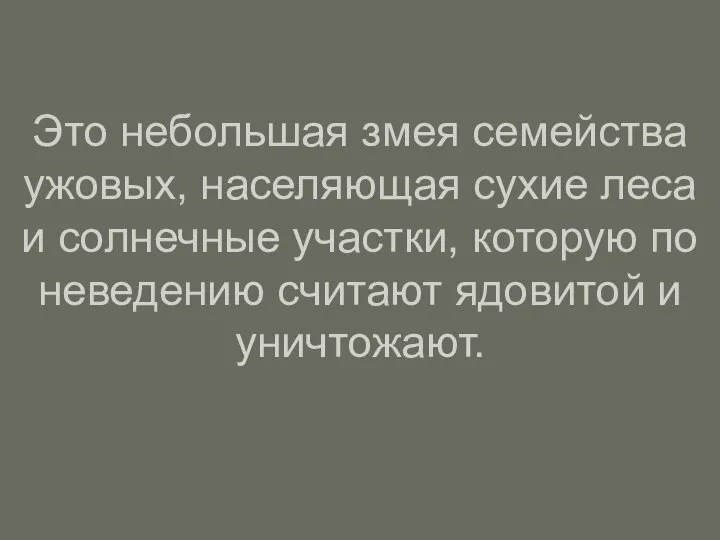 Это небольшая змея семейства ужовых, населяющая сухие леса и солнечные участки, которую