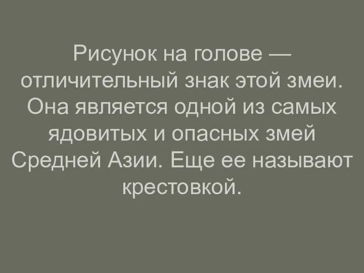 Рисунок на голове — отличительный знак этой змеи. Она является одной из