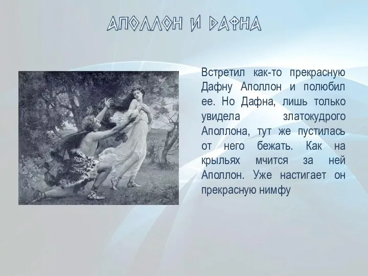 Встретил как-то прекрасную Дафну Аполлон и полюбил ее. Но Дафна, лишь только