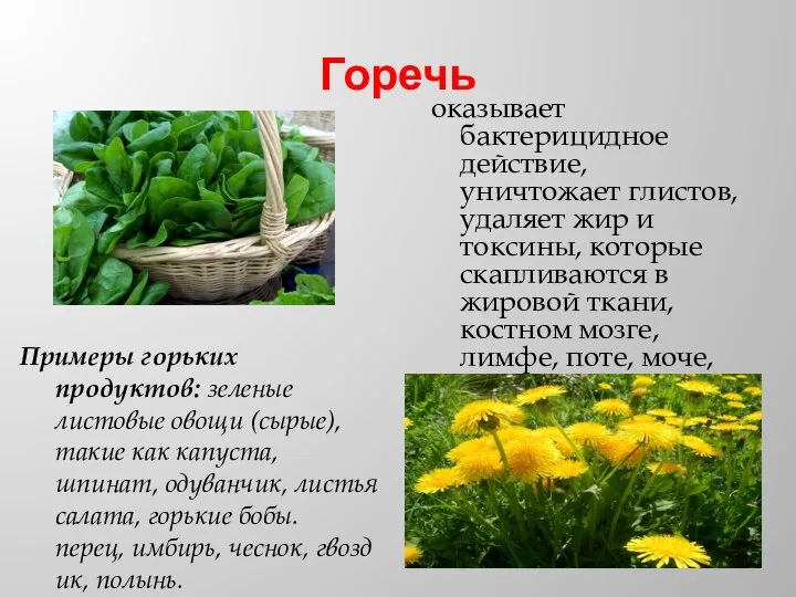 Горечь Примеры горьких продуктов: зеленые листовые овощи (сырые), такие как капуста, шпинат,