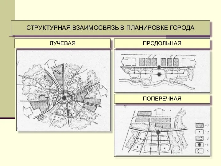 СТРУКТУРНАЯ ВЗАИМОСВЯЗЬ В ПЛАНИРОВКЕ ГОРОДА ЛУЧЕВАЯ ПРОДОЛЬНАЯ ПОПЕРЕЧНАЯ