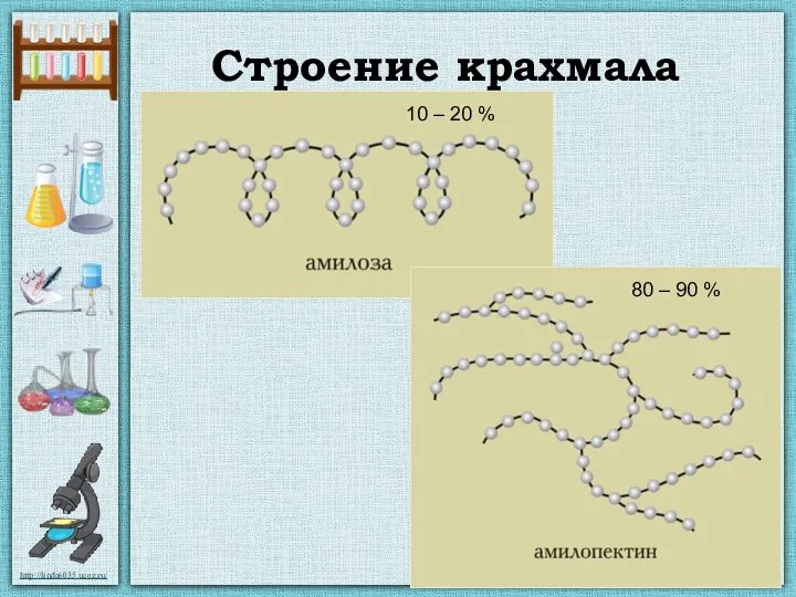 Строение крахмала 10 – 20 % 80 – 90 %