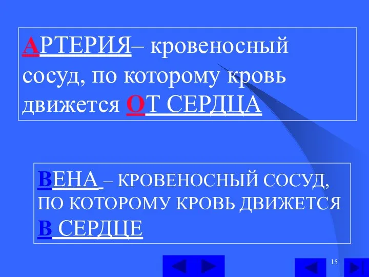 АРТЕРИЯ– кровеносный сосуд, по которому кровь движется ОТ СЕРДЦА ВЕНА – КРОВЕНОСНЫЙ