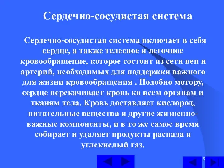 Сердечно-сосудистая система Сердечно-сосудистая система включает в себя сердце, а также телесное и