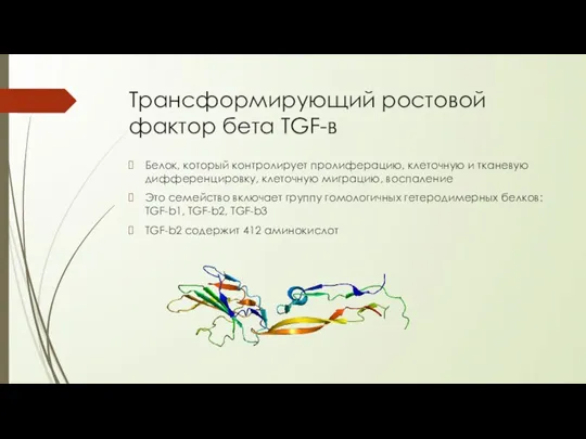 Трансформирующий ростовой фактор бета TGF-в Белок, который контролирует пролиферацию, клеточную и тканевую