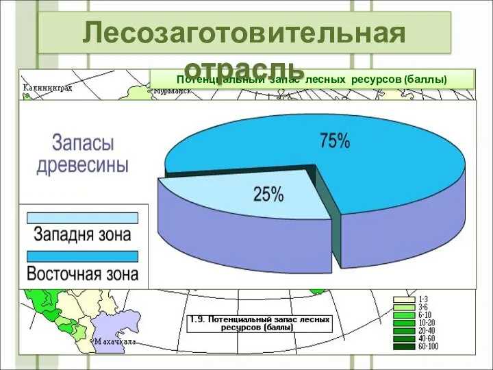 Потенциальный запас лесных ресурсов (баллы) Лесозаготовительная отрасль