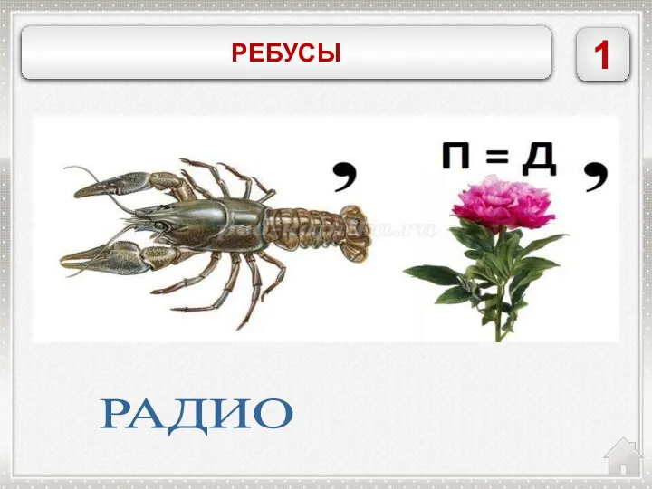 1 РЕБУСЫ РАДИО