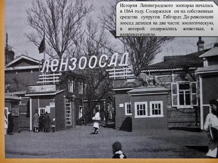 История Ленинградского зоопарка началась в 1864 году. Содержался он на собственные средства