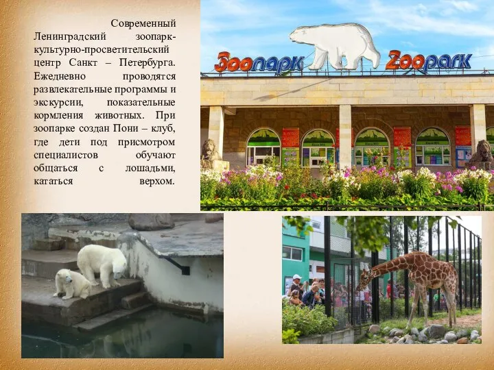 Современный Ленинградский зоопарк- культурно-просветительский центр Санкт – Петербурга. Ежедневно проводятся развлекательные программы