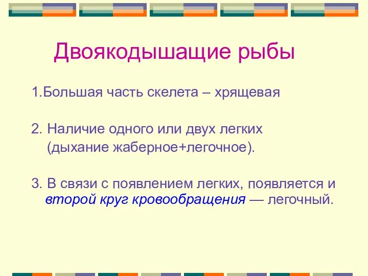 Двоякодышащие рыбы 1.Большая часть скелета – хрящевая 2. Наличие одного или двух