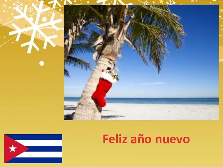 Feliz año nuevo