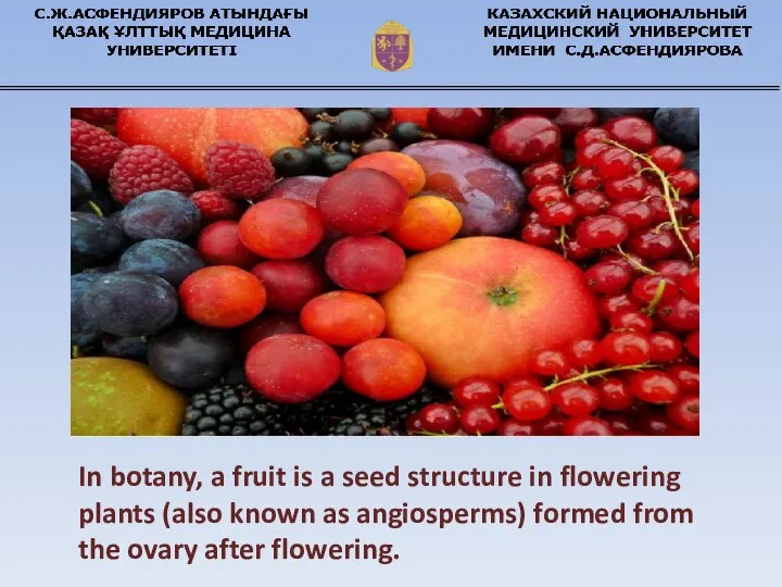 In botany, a fruit is a seed structure in flowering plants (also