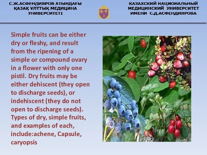 Simple fruits can be either dry or fleshy, and result from the