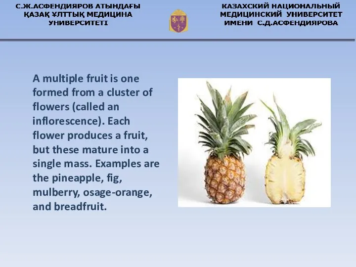 A multiple fruit is one formed from a cluster of flowers (called