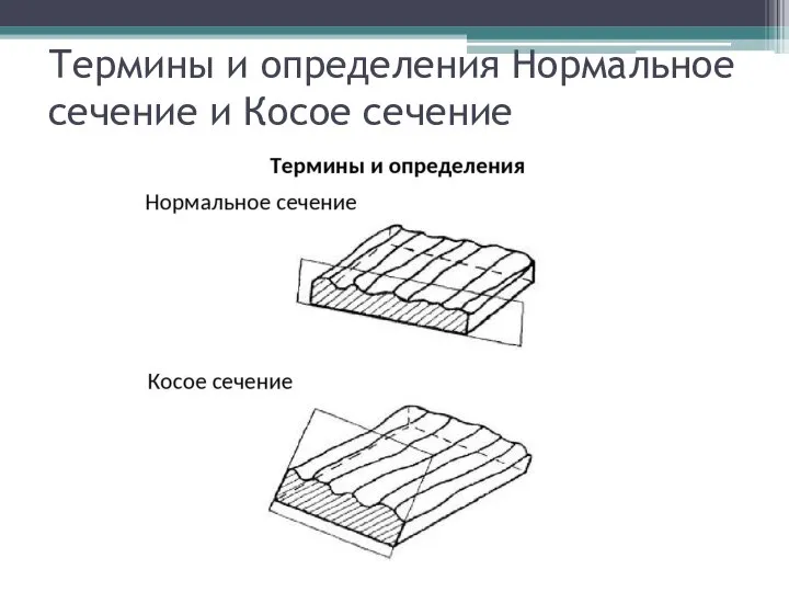 Термины и определения Нормальное сечение и Косое сечение