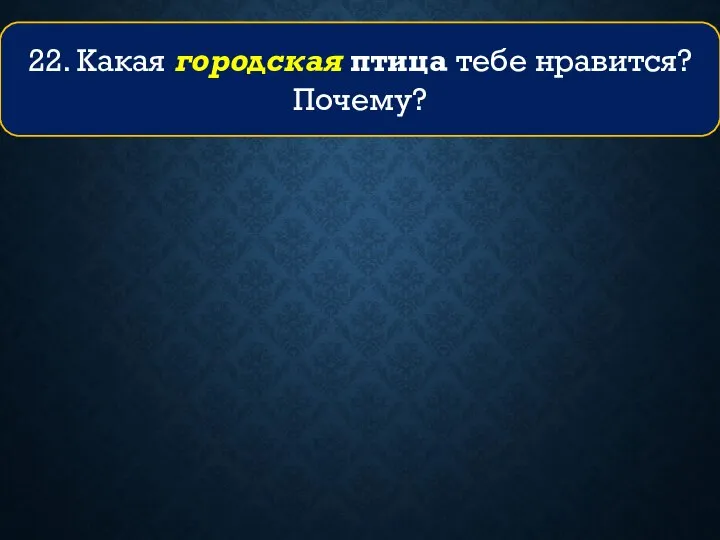 22. Какая городская птица тебе нравится? Почему?