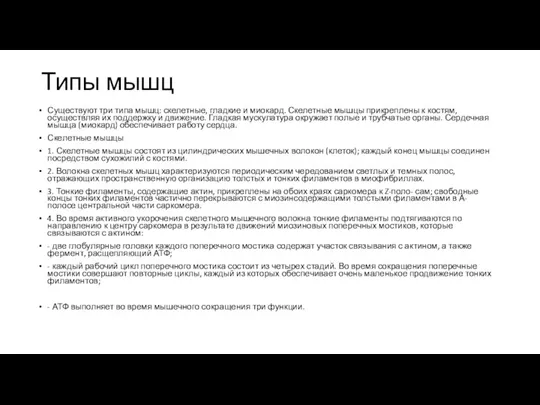 Типы мышц Существуют три типа мышц: скелетные, гладкие и миокард. Скелетные мышцы